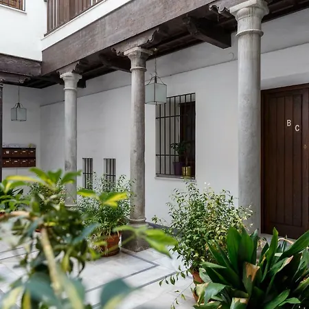 Meraki Dauro Apartment